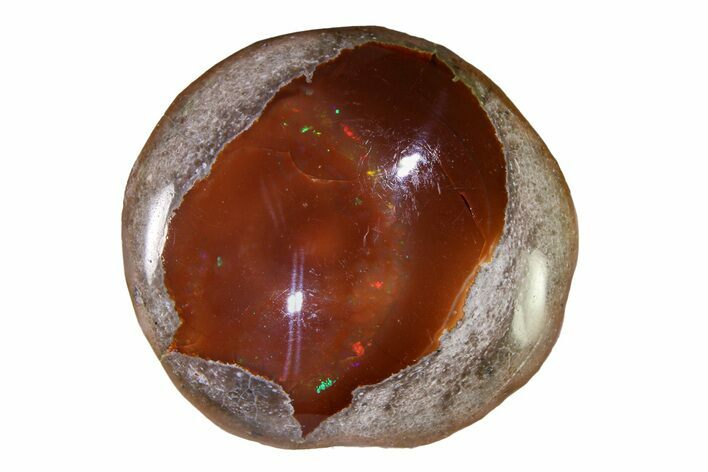 Polished Ethiopian Chocolate Opal Nodule - Yita Ridge #316150